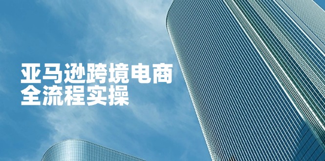 亚马逊跨境电商全流程实操，教你从零开始，掌握店铺运营与广告技巧-云创网