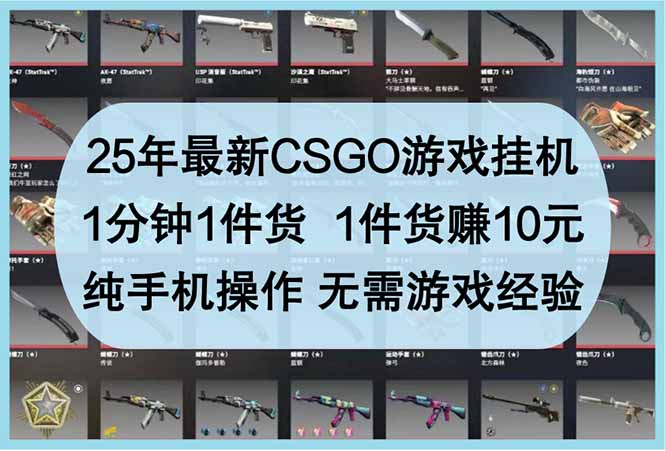 25年最新CSGO游戏挂机，1分钟1件货，1件货赚10元 纯手机操作 无需游戏经验-云创网