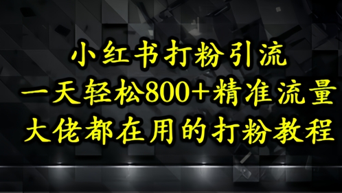 小红书打粉引流，一天轻松500+精准流量，大佬都在用的打粉教程-云创网