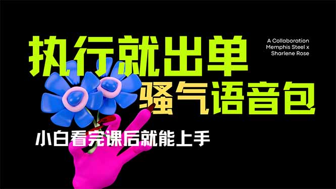 爆火全网的开车导航骚气语音包,只要执行就出单，小白看完课程就能实操...-云创网
