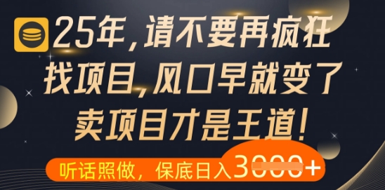什么？25年你还在疯狂找项目做，醒醒吧，看完这些你全都懂了【揭秘】-云创网