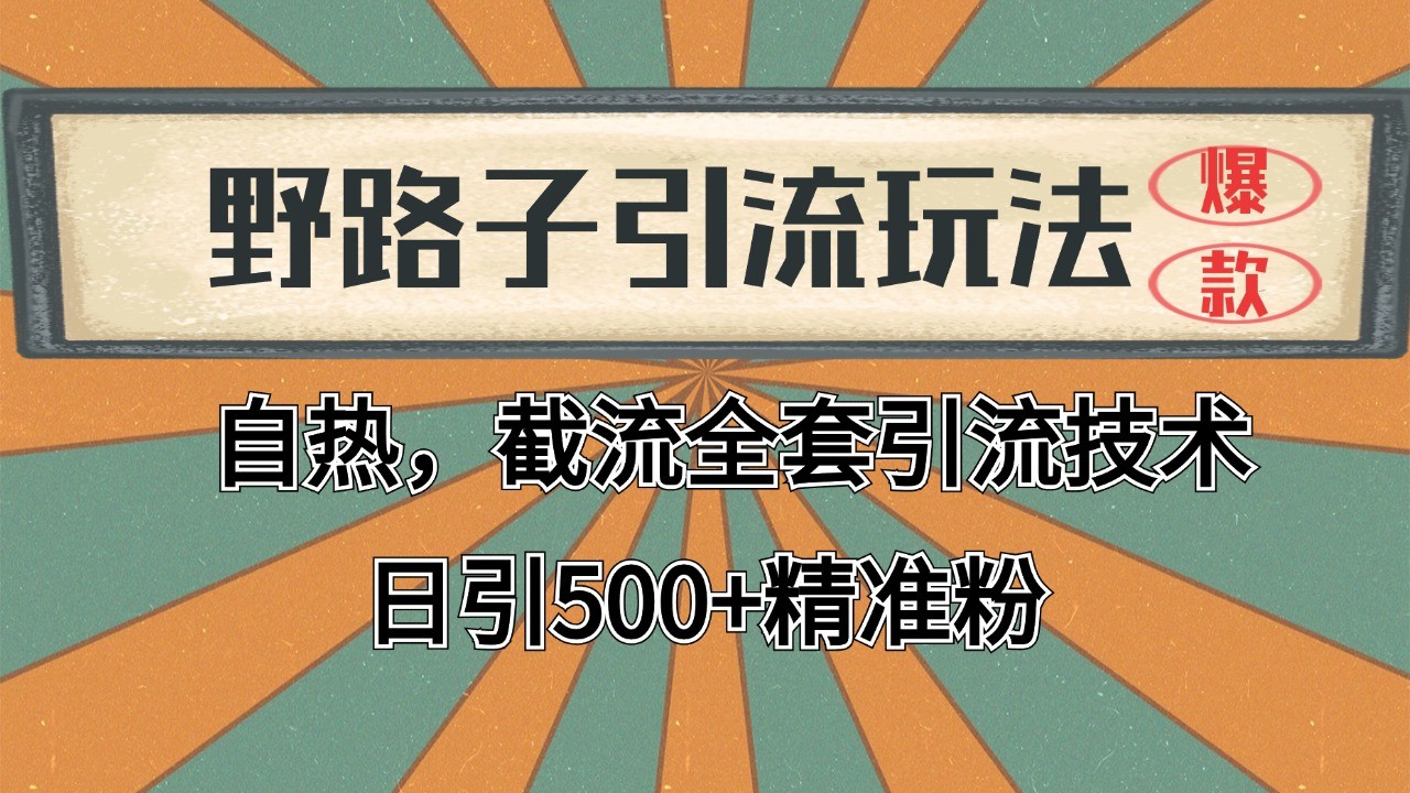 2024首发野路子引流玩法截流自热全平台打法，全自动引流【日引2000+精准客户】-云创网