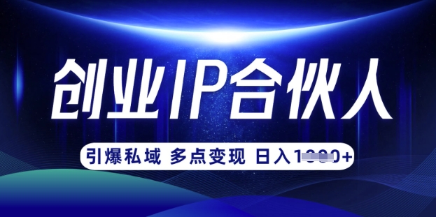 云帆·创业ip合伙人打造3.0，从0到1教你做网创，实现月入过W-云创网