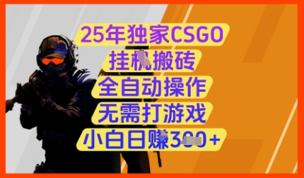 25年独家CSGO挂G搬砖，全自动操作，无需打游戏，小白日入3张+【揭秘】-云创网