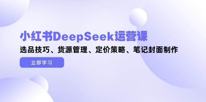 小红书DeepSeek运营课，选品技巧、货源管理、定价策略、笔记封面制作-云创网