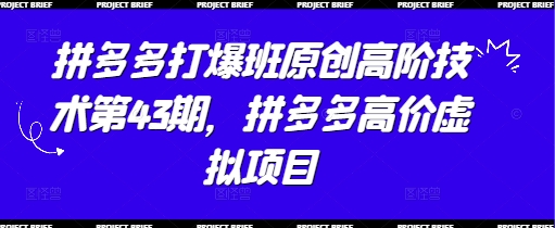 拼多多打爆班原创高阶技术第43期，拼多多高价虚拟项目-云创网