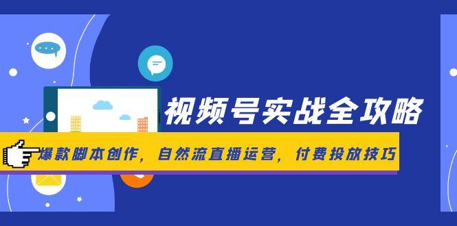 视频号实战全攻略，爆款脚本创作，自然流直播运营，付费投放技巧-云创网