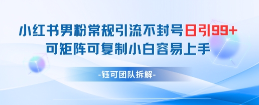 小红书男粉常规引流不封号日引99+变现简单 可矩阵可复制小白容易上手-云创网