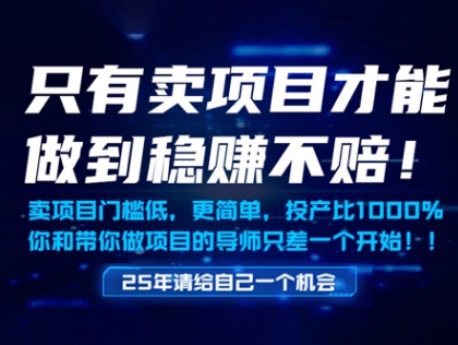 只有卖项目才能做到稳挣不赔，门槛低，更简单，你也可以年入百个W【揭秘】-云创网