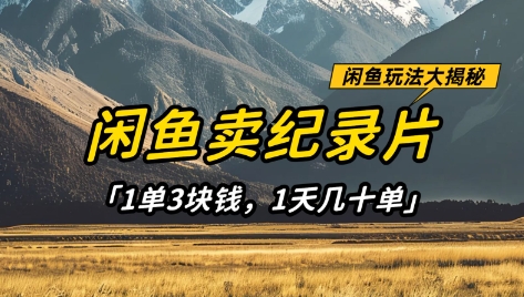闲鱼卖纪录片1单3块钱，1天几十单，项目稳定有潜力-云创网