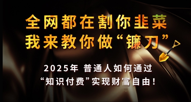 全网都在割你韭菜，我来教你做镰刀，2025年普通人如何通过 知识付费 实现财F自由【揭秘】-云创网