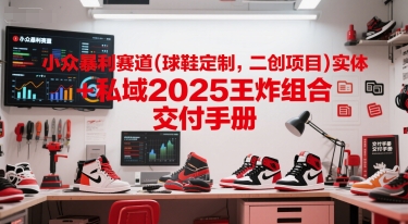 小众暴利赛道(球鞋定制，二创项目)实体+私域2025王炸组合  交付手册-云创网
