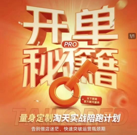 淘宝开单秘籍PRO，量身定制淘天实战陪跑计划，告别做店迷茫、快速突破运营瓶颈期(更新6月)-云创网
