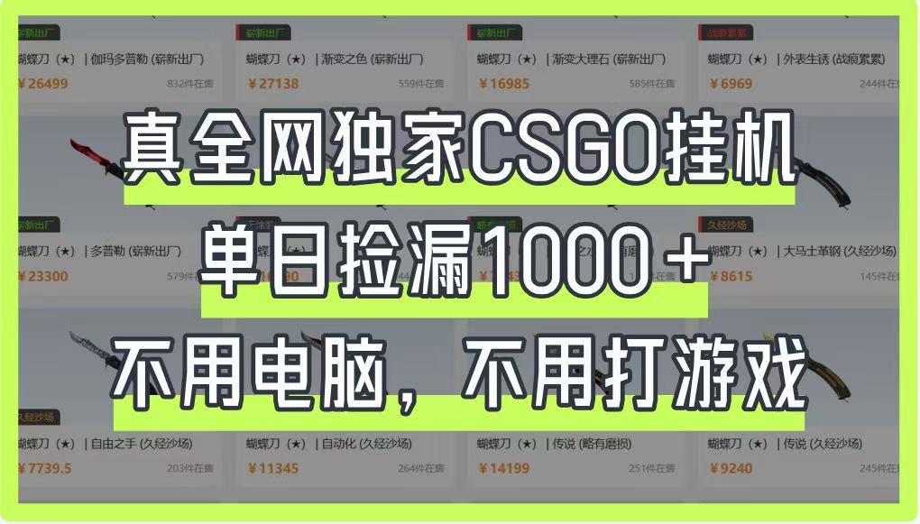 真全网独家CSGO挂机，单日捡漏1000+，不用电脑，不用养号-云创网