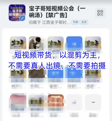 宝子哥头部团队短视频带货，以混剪为主，不需要真人出镜，不需要拍摄【更新】-云创网