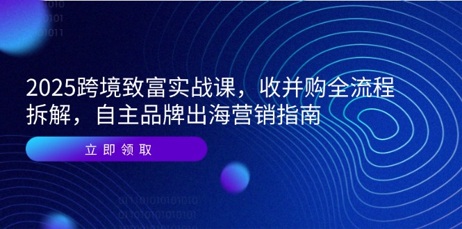 2025跨境致富实战课，收并购全流程拆解，自主品牌出海营销指南-云创网