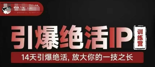 引爆绝活IP训练营，14天引爆绝活，放大你的一技之长-云创网