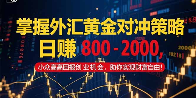 掌握外汇黄金对冲策略，日赚 800 - 2000，小众高回报创业机会，助你实...-云创网