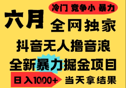 25年6月高爆抖音无人直播最新撸音浪掘金项目，小白可做，无脑日入1k+，门槛低可批量矩阵【揭秘】-云创网