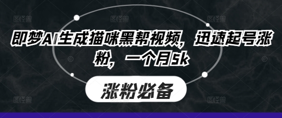 即梦AI生成猫咪黑帮视频，迅速起号涨粉，一个月5k-云创网