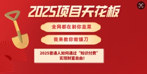 2025项目天花板普通人如何通过知识付费，实现财F自由【揭秘】-云创网