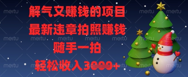 解气又挣钱的项目，最新违章拍照挣钱，随手一拍，轻松收入数张【揭秘】-云创网