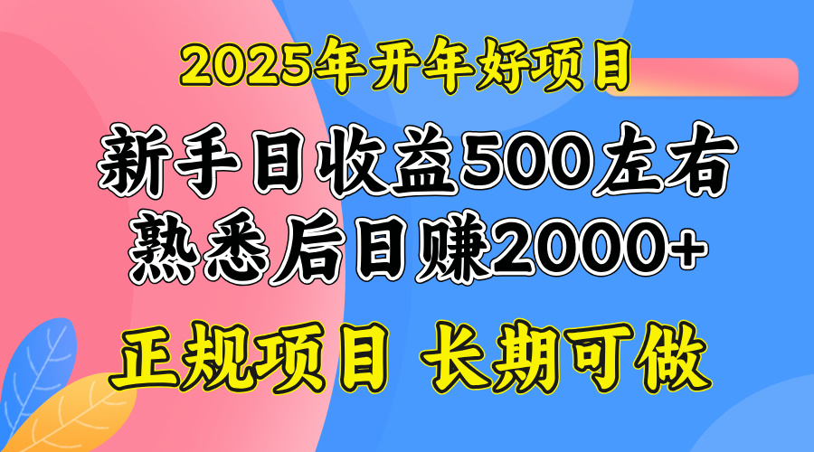 2025开年好项目，单号日收益2000左右-云创网