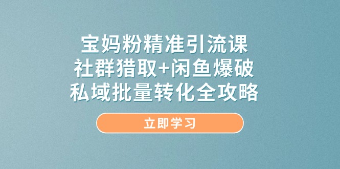 宝妈粉精准引流课，社群猎取+闲鱼爆破，私域批量转化全攻略-云创网