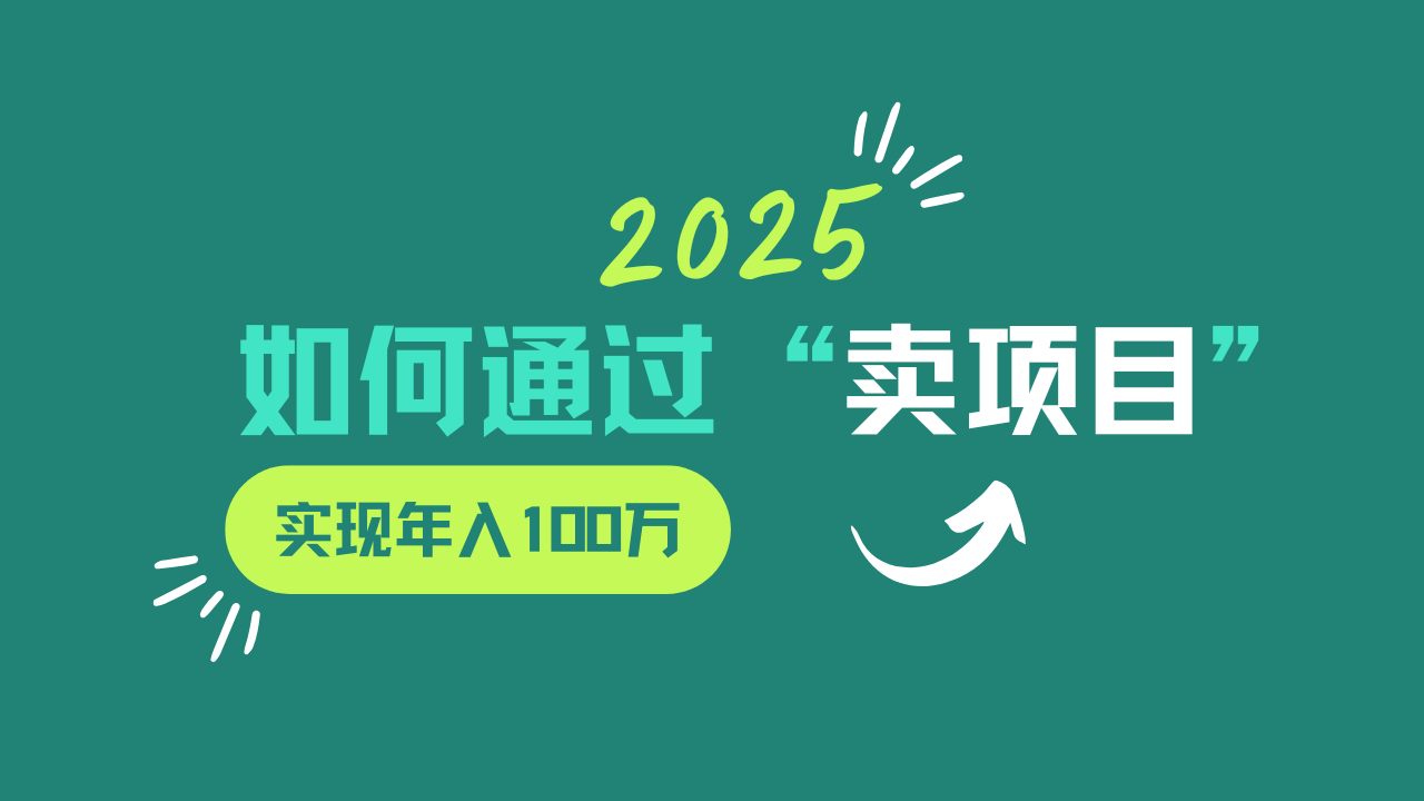 2025年如何通过“卖项目”实现年入100w-云创网