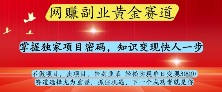 网创副业黄全赛道，掌握独家项目密码，知识变现快人一步，告别韭菜轻松实现单日变现1k+【揭秘】-云创网