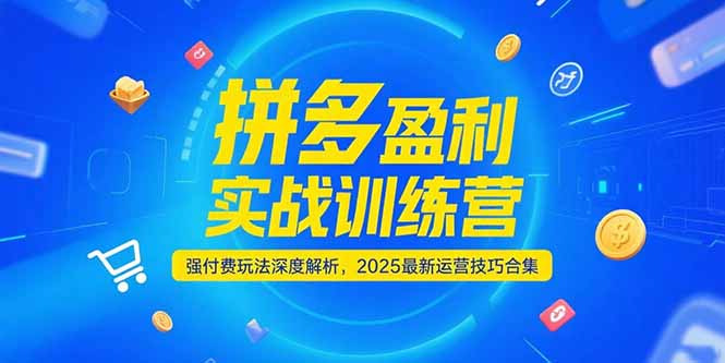 拼多多盈利实战训练营，强付费玩法深度解析，2025运营技巧合集-更新6月-云创网