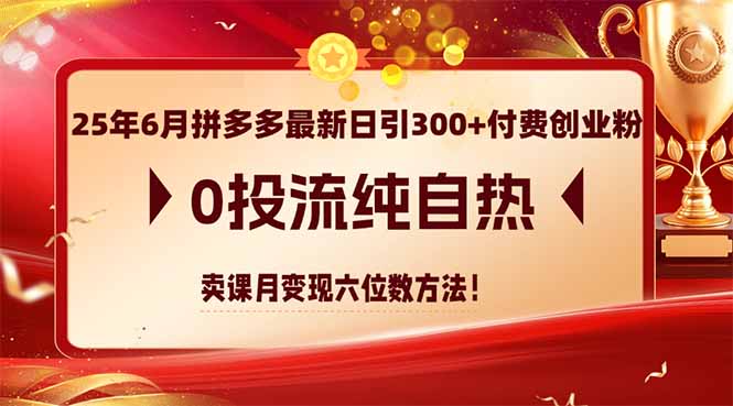 25年6月拼多多最新日引300+付费创业粉，0投流纯自热 卖课月变现六位数方法-云创网