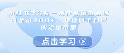 小红书3分钟一条作品精准引流创业粉300+，打造属于自己的流量帝国-云创网