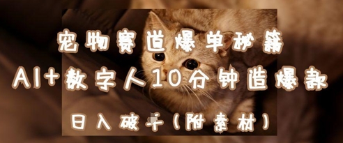 宠物赛道爆单秘籍：AI+数字人10分钟造爆款，日入1k-云创网