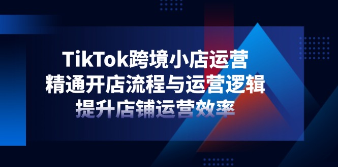 TikTok跨境小店运营，精通开店流程与运营逻辑，提升店铺运营效率-云创网