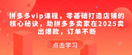 拼多多vip课程，零基础打造店铺的核心秘诀，助拼多多卖家在2025卖出爆款，订单不断-云创网