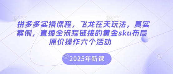 拼多多实操课程，飞龙在天玩法，真实案例，直播全流程链接的黄金sku布局原价操作六个活动-云创网