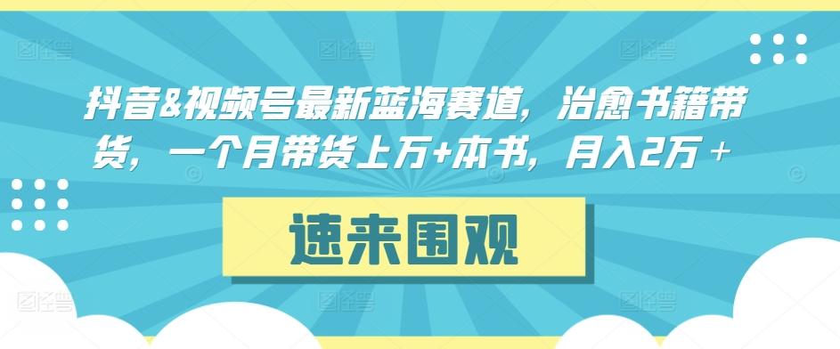 抖音&视频号最新蓝海赛道，治愈书籍带货，一个月带货上万+本书，月入2万＋【揭秘】-云创网