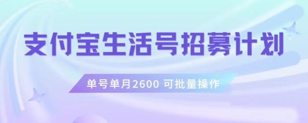 支付宝生活号作者招募计划，单号单月2600，可批量去做，工作室一人一个月轻松1w+【揭秘】-云创网