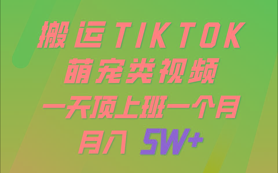 一键搬运TIKTOK萌宠类视频，一部手机即可操作，所有平台均可发布 轻松月入5W+-云创网