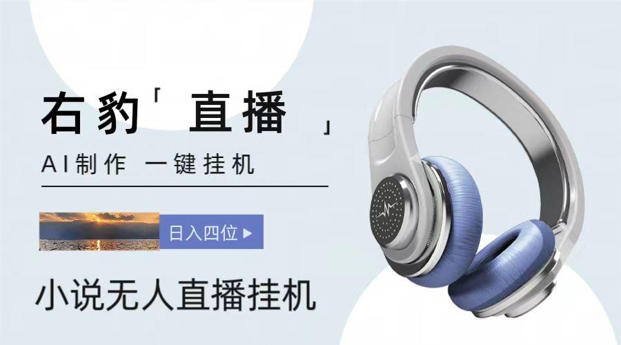 右豹小说无人直播挂机吸金项目，简单易行收益稳定， 月入1000+-云创网