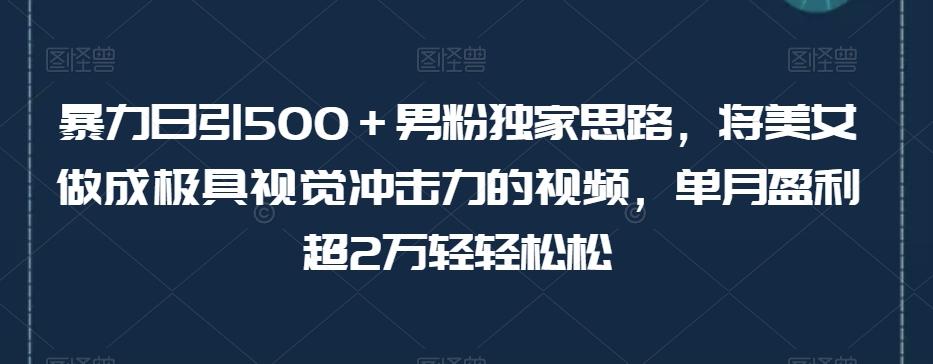 暴力日引500＋男粉独家思路，将美女做成极具视觉冲击力的视频，单月盈利超2万轻轻松松-云创网