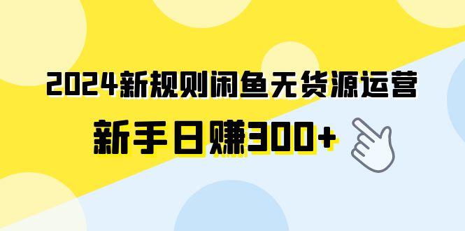 (9522期)2024新规则闲鱼无货源运营新手日赚300+-云创网
