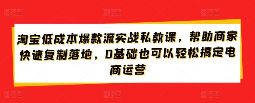 淘宝低成本爆款流实战私教课，帮助商家快速复制落地，0基础也可以轻松搞定电商运营-云创网