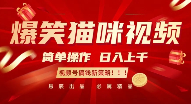 爆笑猫咪视频：简单操作，日入过K，视频号搞钱新策略【揭秘】-云创网