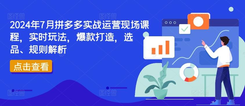 2024年7月拼多多实战运营现场课程，实时玩法，爆款打造，选品、规则解析-云创网