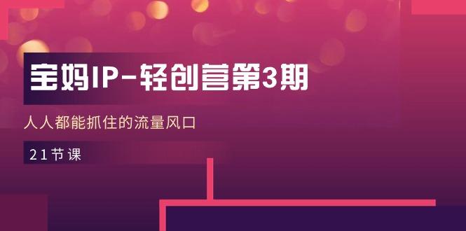 宝妈IP-轻创营第3期，人人都能抓住的流量风口(21节课-云创网