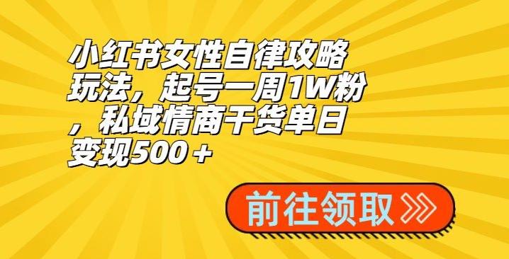 小红书女性自律攻略玩法，起号一周1W粉，私域情商干货单日变现500＋-云创网