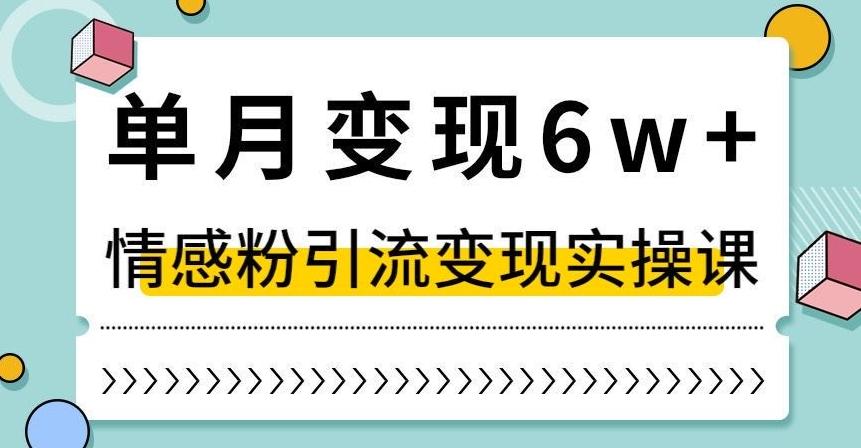 单月变现6W+，抖音情感粉引流变现实操课，小白可做，轻松上手，独家赛道【揭秘】-云创网