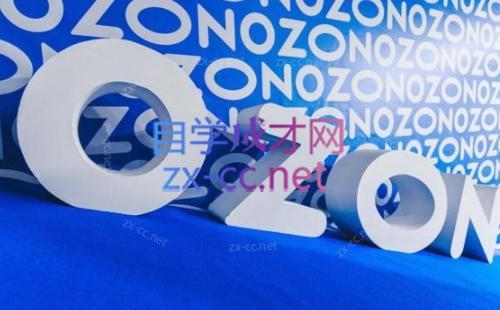 森哥·出海俄罗斯电商实操(2024)-云创网